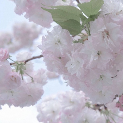 兽设毛发刻画细节兽圈社群